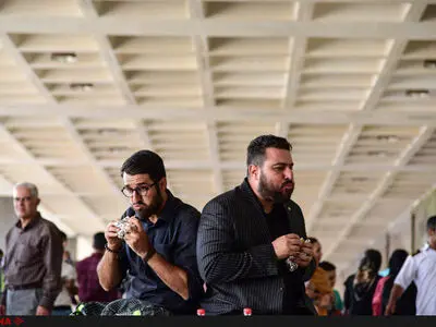 «لونه زنبور» به موسیقی رسید 