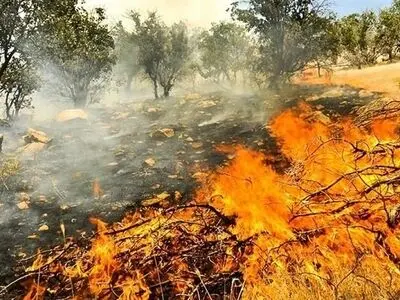 نامه به استانداران برای شناسایی عاملان آتش‌سوزی‌های عمدی جنگل‌ها توسط دستگاه‌های اطلاعاتی و امنیتی