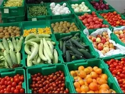 ۲۵ نوع محصول باغی درگلستان تولید  می شود