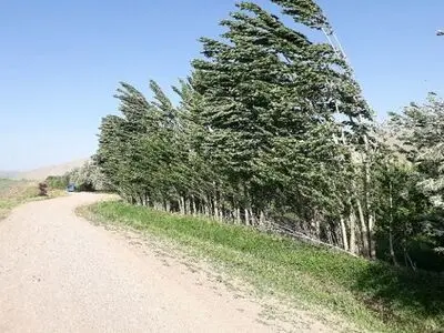 وزش بادهای نسبتا شدید در راه قزوین است