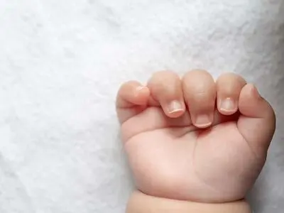 تولد نوزاد عجول در دل برف
