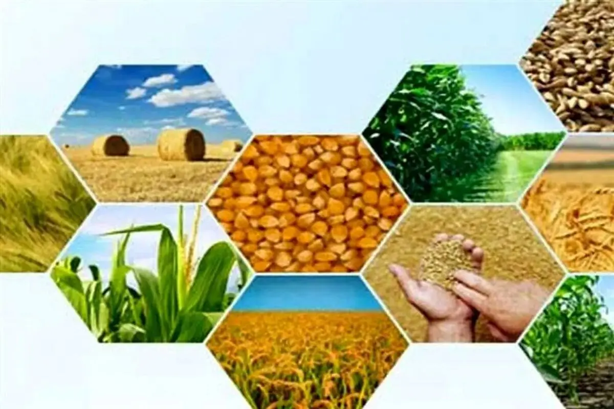 ضرورت تسریع در فرایندهای صدور مجوزهای سرمایه‌گذاری استان مرکزی 