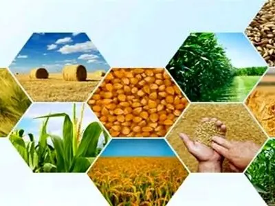 ضرورت تسریع در فرایندهای صدور مجوزهای سرمایه‌گذاری استان مرکزی 