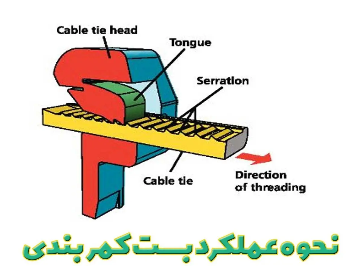 انواع بست کمربندی و نکات کلیدی درباره آن به نقل از بست سرا