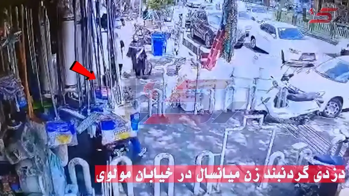 فیلم لحظه سرقت 3 ثانیه گردنبند زن میانسال در خیابان مولوی تهران 