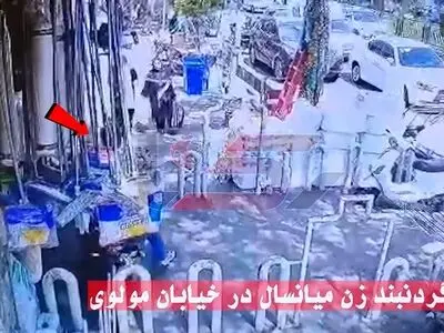 فیلم لحظه سرقت 3 ثانیه گردنبند زن میانسال در خیابان مولوی تهران 