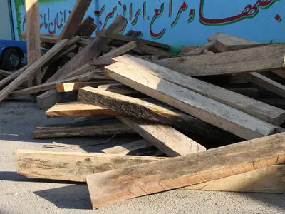توقیف ۳۲ تُن چوب و زغال بلوط قاچاق در فلاورجان 