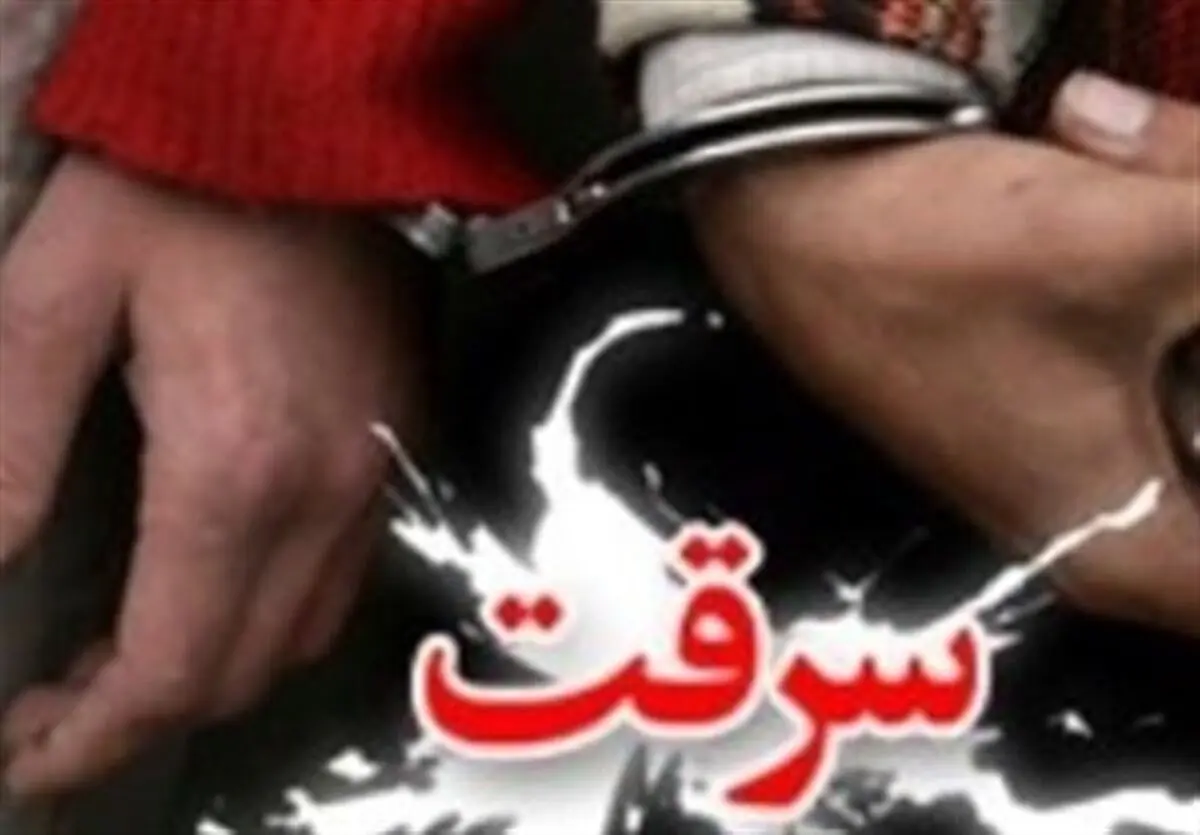 دستگیری سارقان سابقه‌دار در نقاط مختلف شهر تهران 
