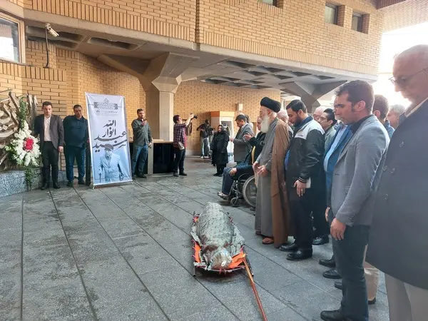 وداع با انوار با چاشنی گشتی در تهران قدیم