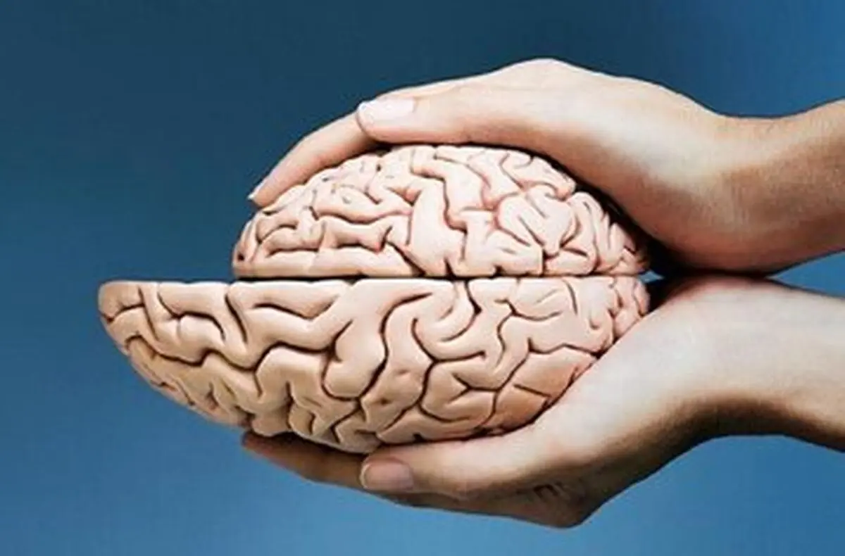 ۳ نیاز اساسی مغز