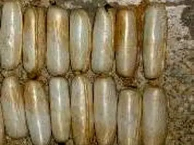 کشف ۱۴ بسته هروئین از معده مسافر

