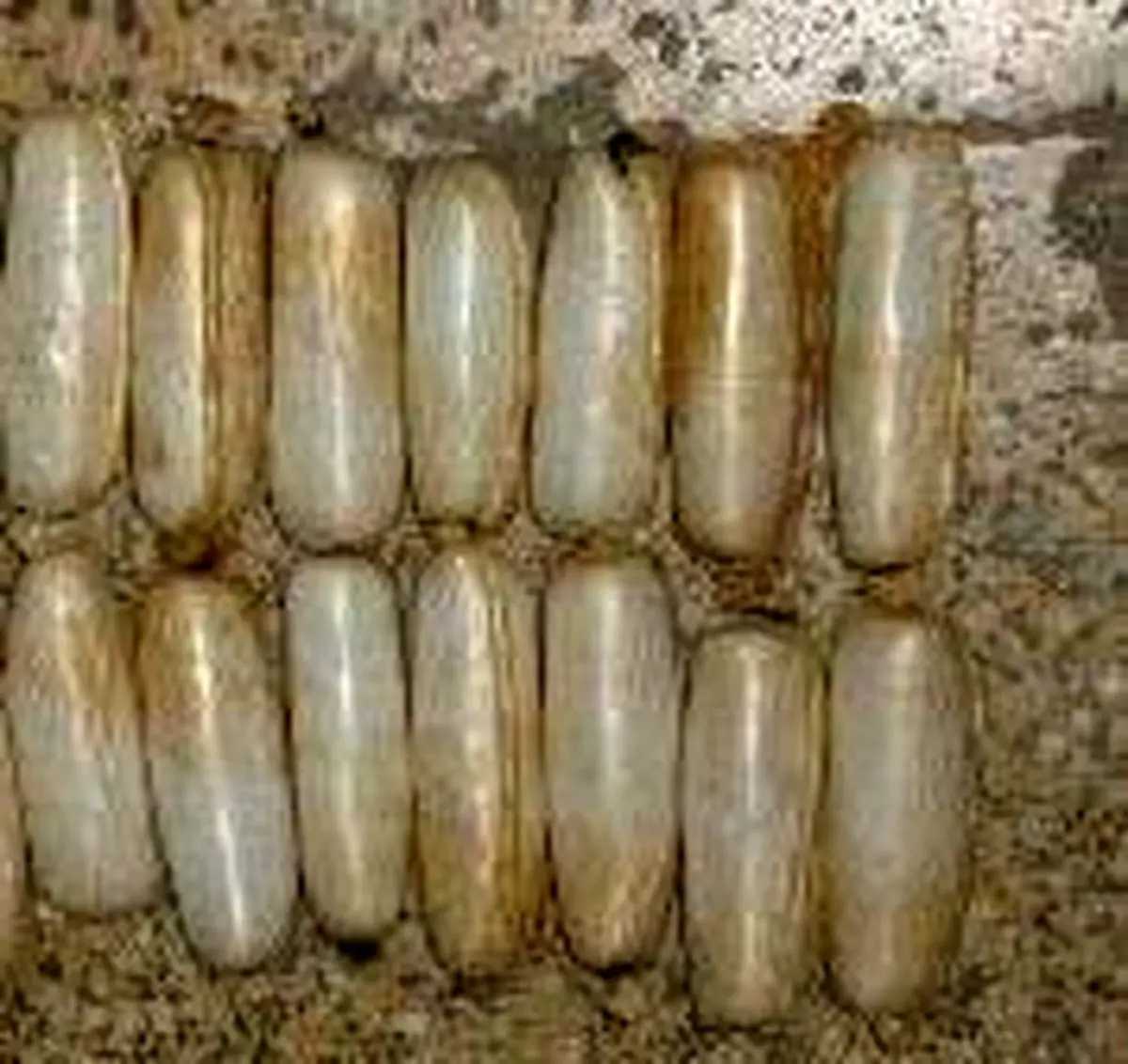 کشف ۱۴ بسته هروئین از معده مسافر

