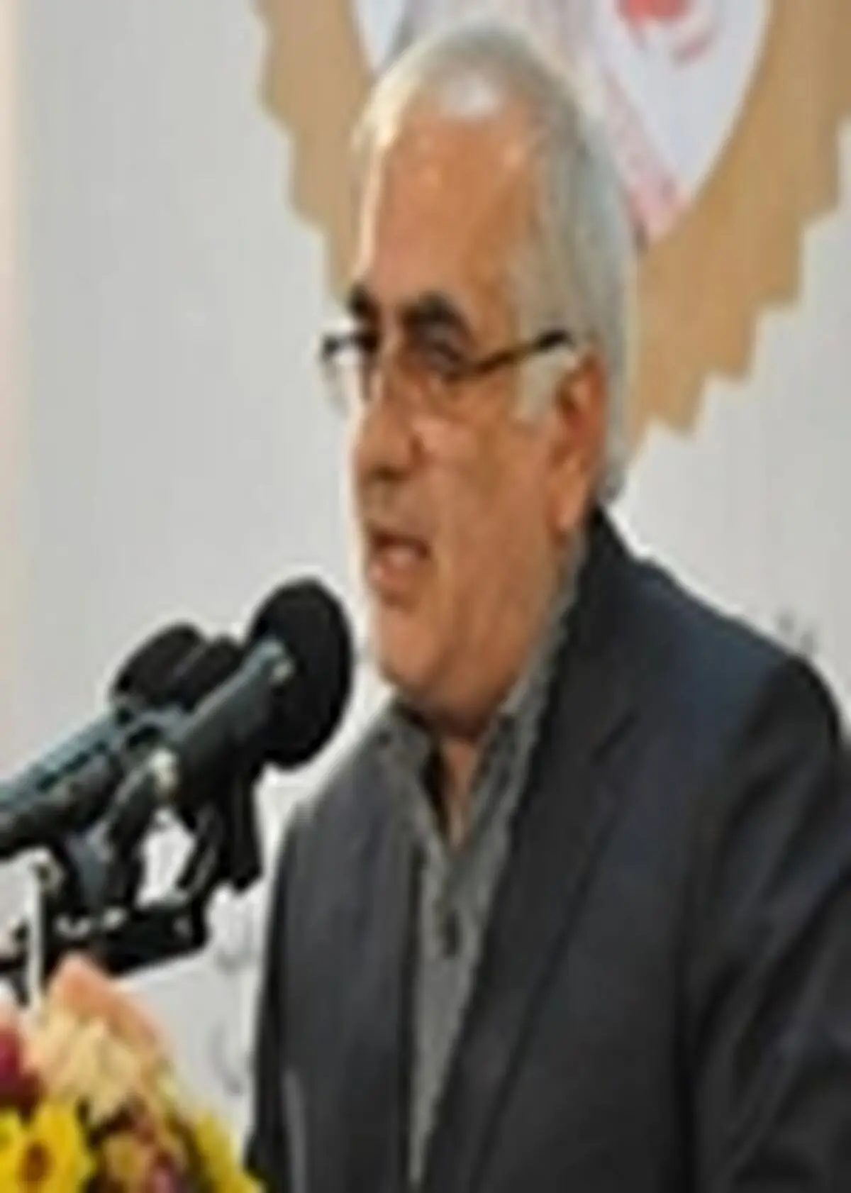 صنعت برق نقش بی بدیلی در فرآیند توسعه دارد