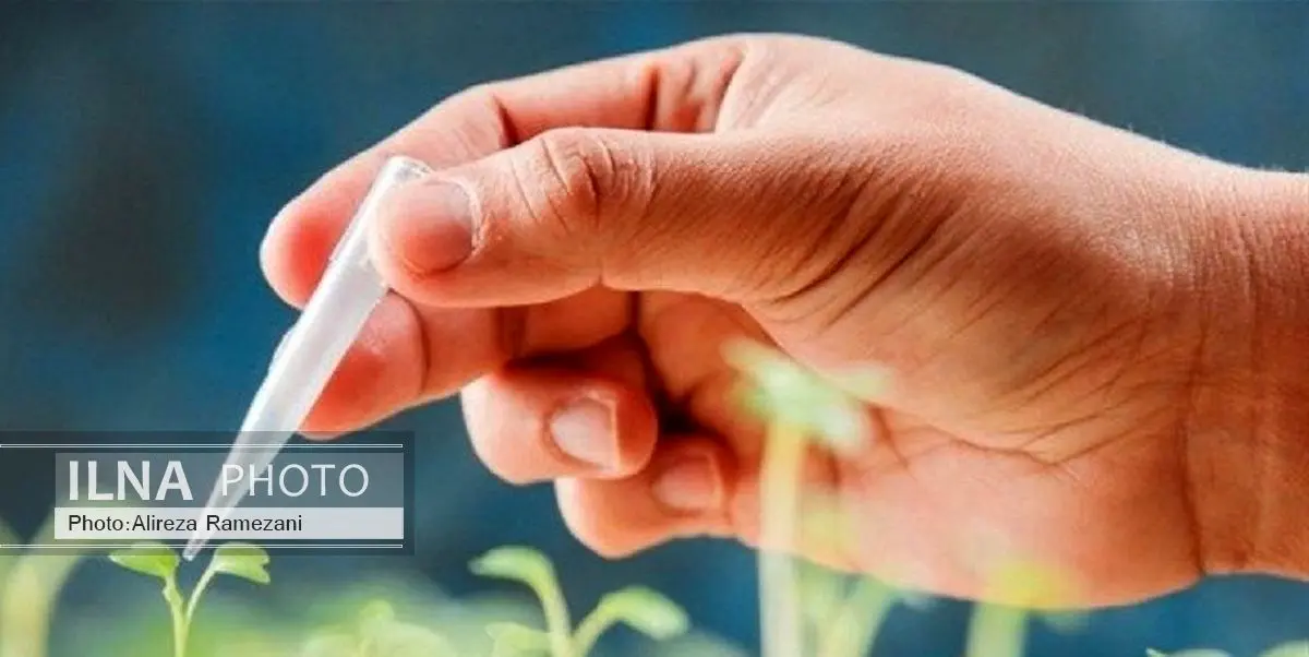 بشر در حوزه تامین غذا با یک ابرچالش مواجه است