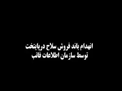 انهدام باند بزرگ توزیع و فروش سلاح در پایتخت + فیلم