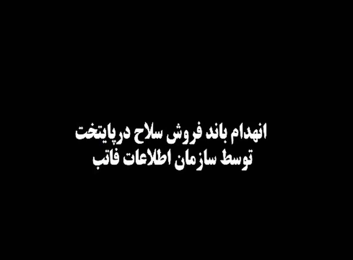 انهدام باند بزرگ توزیع و فروش سلاح در پایتخت + فیلم