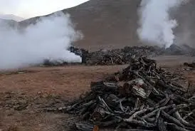 کشف کارگاه غیرمجاز تولید زغال در شهرستان گتوند