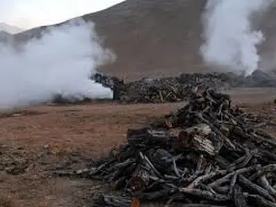 کشف کارگاه غیرمجاز تولید زغال در شهرستان گتوند