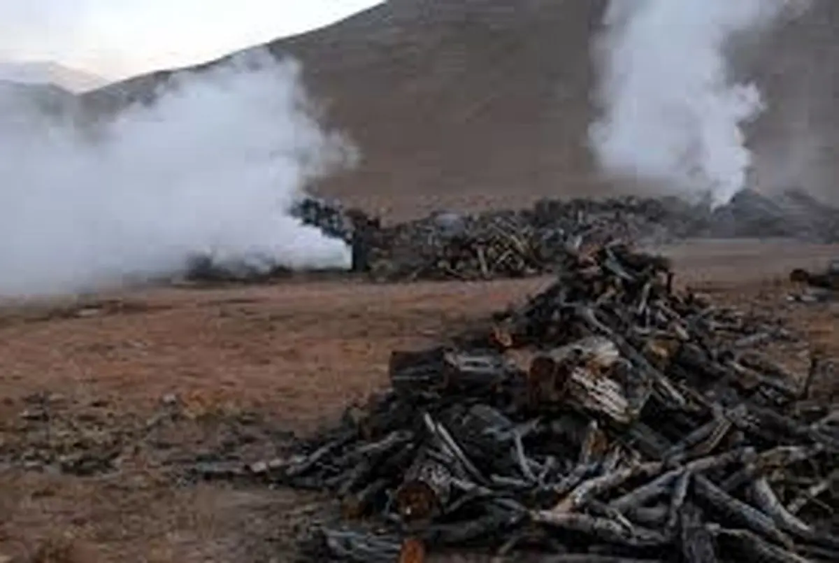 کشف کارگاه غیرمجاز تولید زغال در شهرستان گتوند