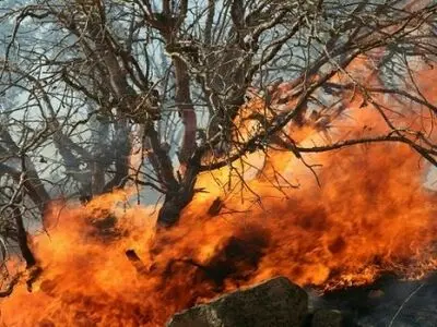 پایگاه اطفاء حریق غرب کشور در کرمانشاه ایجاد می‌شود