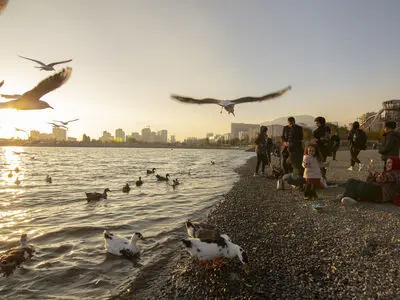 شناسایی ۱۱۴ گونه پرنده مهاجر در دریاچه شهدای خلیج فارس تهران