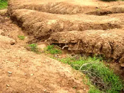 پدیده بیابان‌زایی از مهمترین چالش‌های زیست‌محیطی استان مرکزی / یک‌ ششم مساحت استان مناطق بیابانی و کویری است 