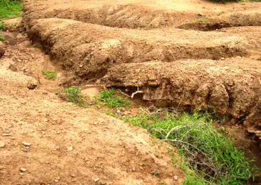 پدیده بیابان‌زایی از مهمترین چالش‌های زیست‌محیطی استان مرکزی / یک‌ ششم مساحت استان مناطق بیابانی و کویری است 