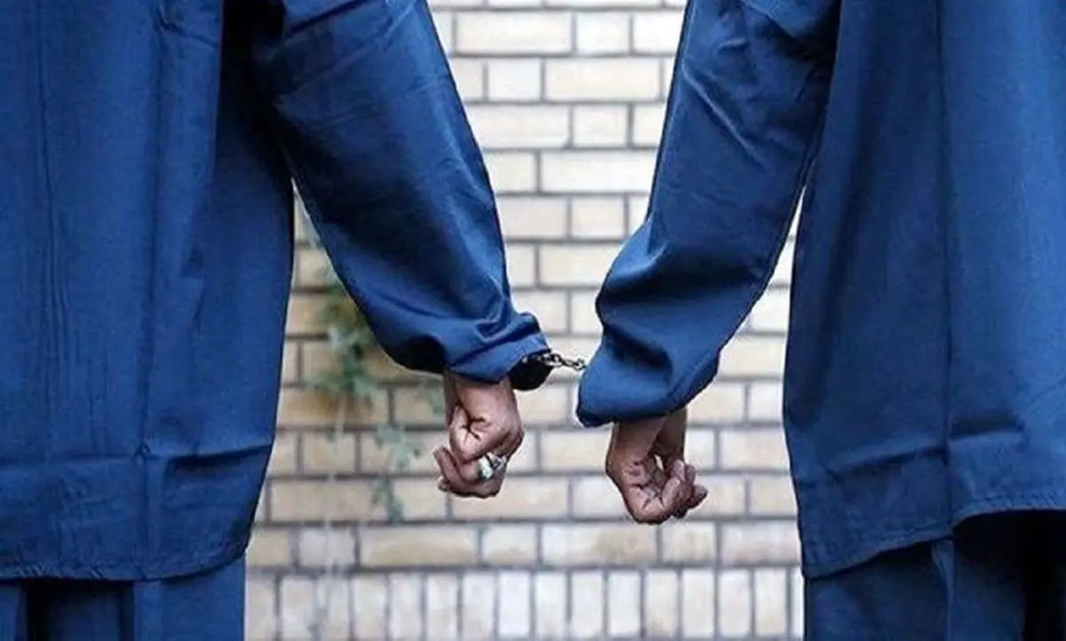 کاهش ۳۰ درصدی سرقت در آذربایجان غربی/۲۰۳ باند سرقت در استان متلاشی شد