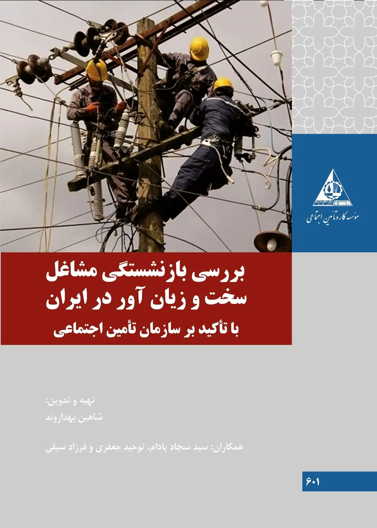 کتاب جدید موسسه کار و تامین اجتماعی منتشر شد
