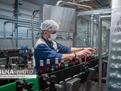 استیصال کارگران بعد از حذف داده‌ها از سامانه جامع روابط کار/ چرا نسخه پشتیبان نگرفتید؟! 