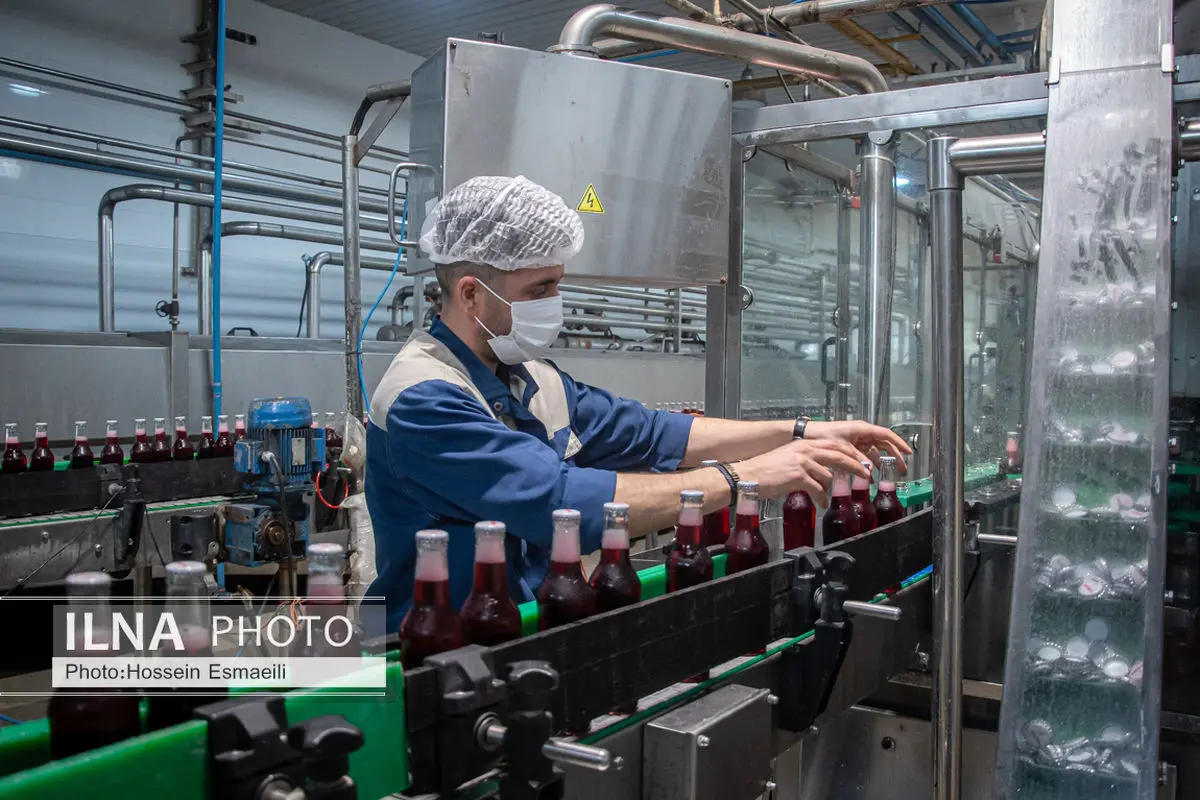 استیصال کارگران بعد از حذف داده‌ها از سامانه جامع روابط کار/ چرا نسخه پشتیبان نگرفتید؟! 