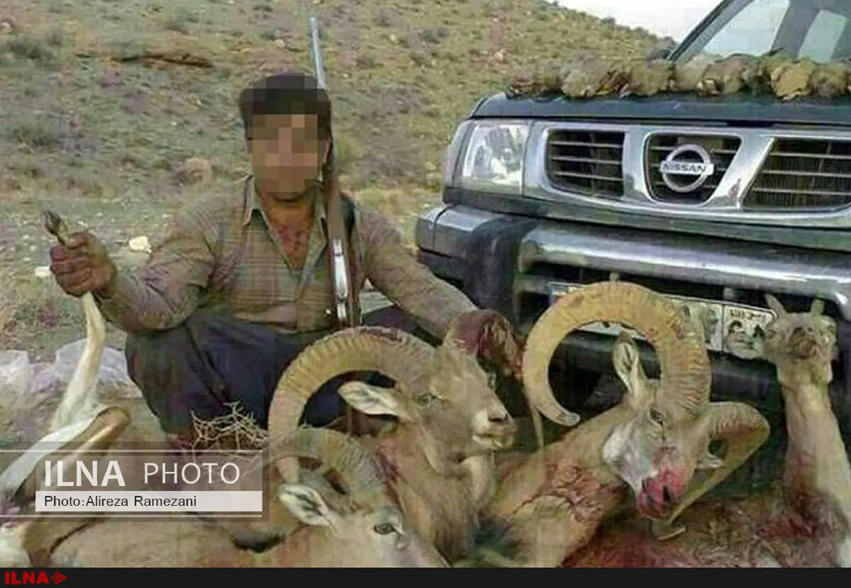 اکثر شکارچیان، ثروتمند هستند/ کمتر از ۵ درصد نیاز معیشتی دارند