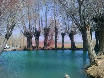 بی‌تدبیری مسئولان فولاد محله را غرق در آب کرد/ خشک شدن درختان روستا به دلیل آب زیاد در زمین/ احسانی :مخالفت وزیر نیرو با لغو ممنوعیت برداشت آب 