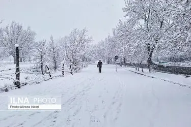 قزوین در آغوش برف 