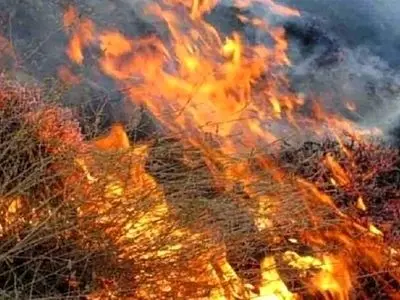 مهار آتش در جنگل‌های مازندران به دلیل کمبود تجهیزات با تأخیر مواجه شد/اطلاعی از میزان خسارت وارد شده در دست نیست