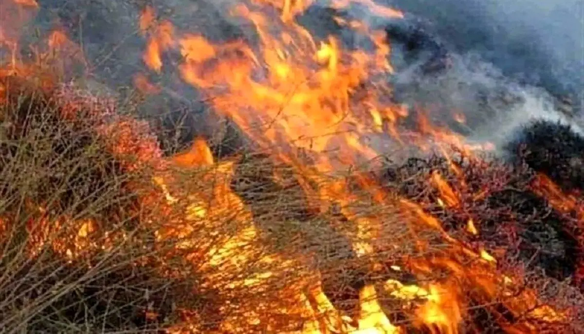 مهار آتش در جنگل‌های مازندران به دلیل کمبود تجهیزات با تأخیر مواجه شد/اطلاعی از میزان خسارت وارد شده در دست نیست