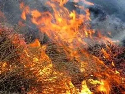 مهار آتش در جنگل‌های مازندران به دلیل کمبود تجهیزات با تأخیر مواجه شد/اطلاعی از میزان خسارت وارد شده در دست نیست