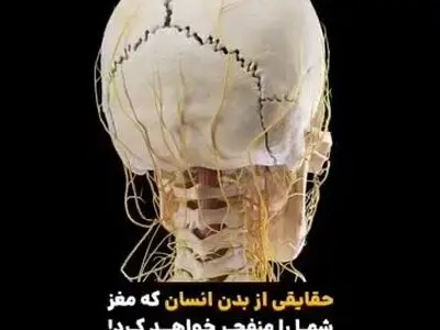 سفری به شگفتی‌های درون بدن انسان + فیلم