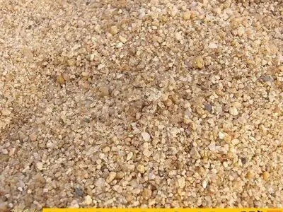 عنکبوت را در این محیط تشخیص دهید