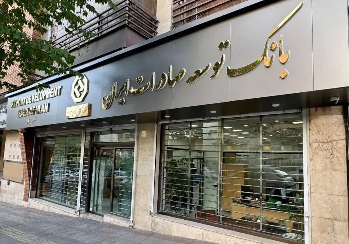 ۹۰درصد تسهیلات بانک توسعه صادرات ایران در اختیار بخش مولد خصوصی/ صدور ضمانت نامه برای تولیدکننده واقعی با قدرت ادامه دارد
