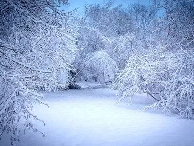 رشد ۷۷ درصدی بارش‌ها در آذربایجان غربی/در حوضه آبی دریاچه ارومیه بارش ها رشد ۸۹درصدی دارد