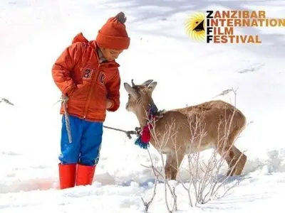 الفیلم الایرانی " المتزحلق" یحرز فضیة مهرجان زنجبار 