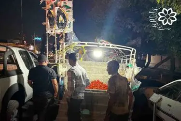 توقیف ۹۵ خودرو بارفروشی غیرمجاز در شیراز طی پنج ماه گذشته