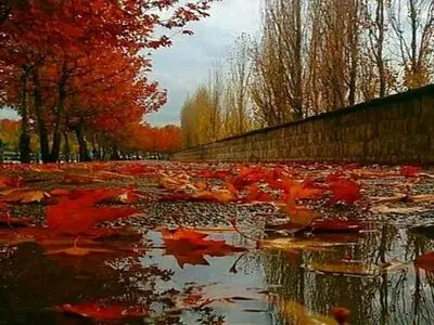 پیش‌بینی ورود سامانه بارشی فراگیر به کشور/ باران پاییزی در ۲۲ استان ار روز چهارشنبه