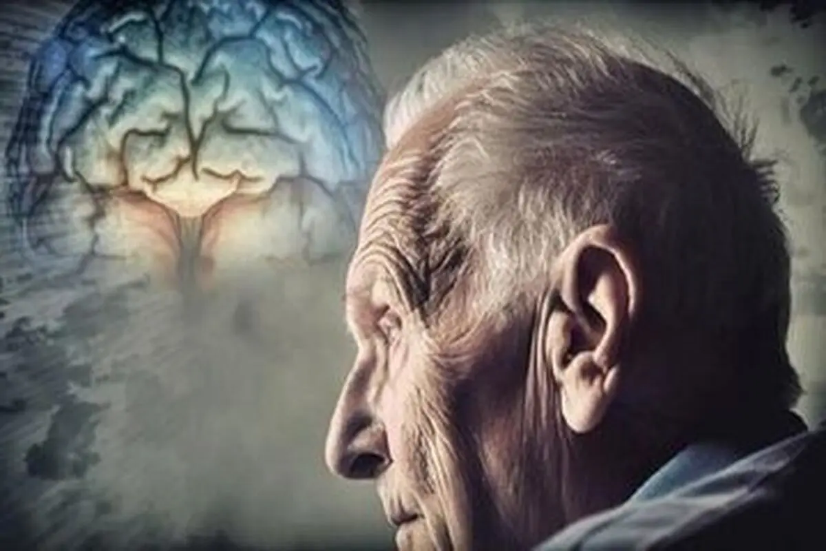 مغز هم پیر می‌شود؟/ این ویتامین‌ها زوال شناختی را از شما دور می‌کنند