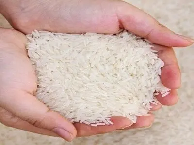 آخرین قیمت شلتوک برنج در رشت