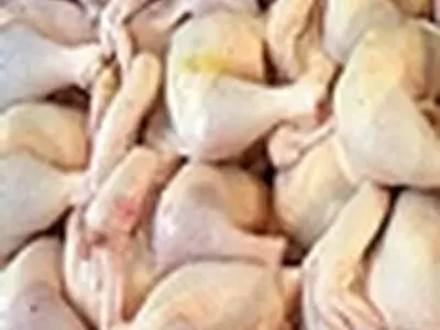 عرضه نامحدود مرغ به قیمت ۵۵۰۰۰ ریال