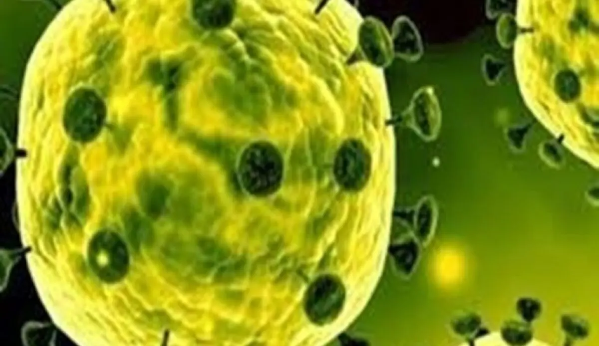 
ارتفاع عدد وفیات کورونا فی ایران الى 5 والمصابین الى 28 