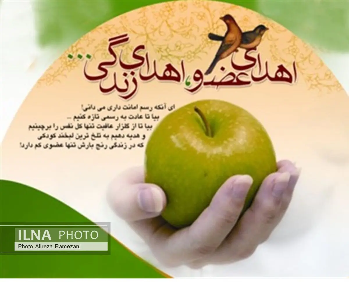 مرگ مغزی شهروند 39 ساله رشتی به 3 نفر زندگی بخشید