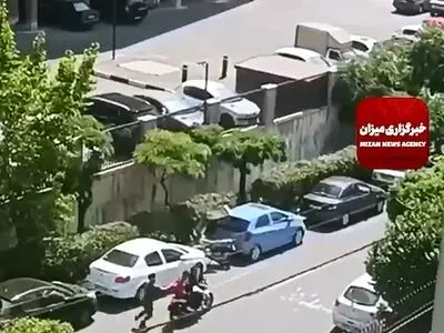 موبایل‌قاپی در خیابان سامان شیخ بهایی؛ تهران + فیلم